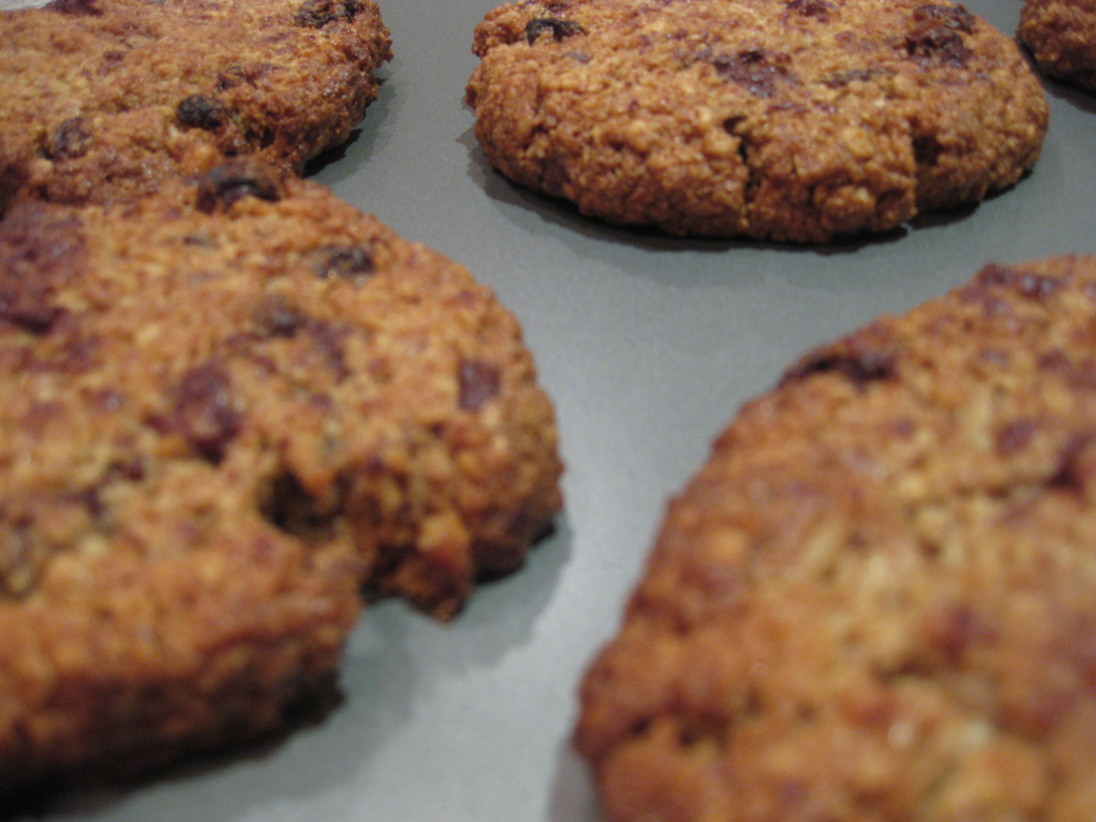 yummy_chocolate_oat_raisin_cookies