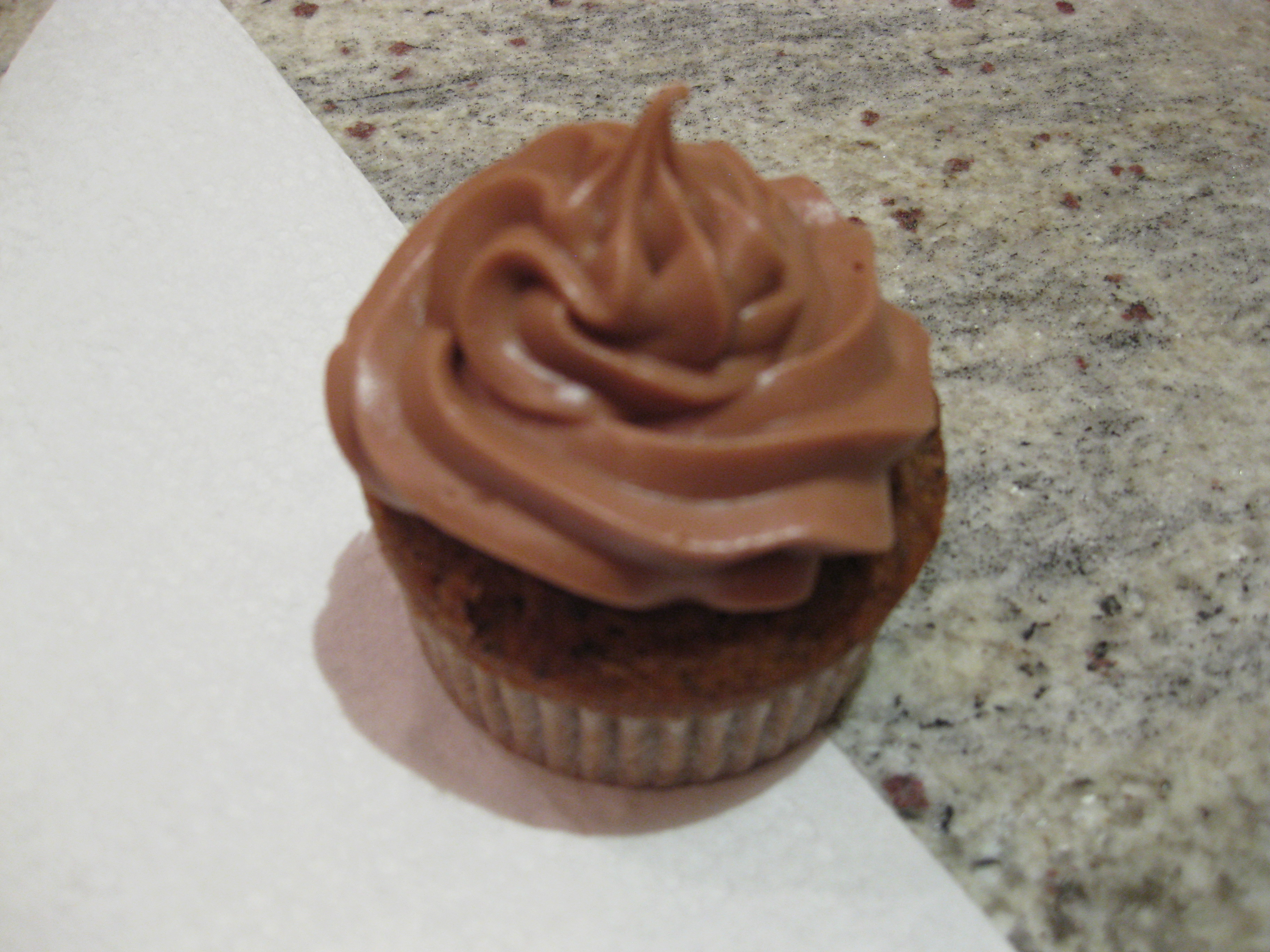 chocolate_cupcake_dan_lepard
