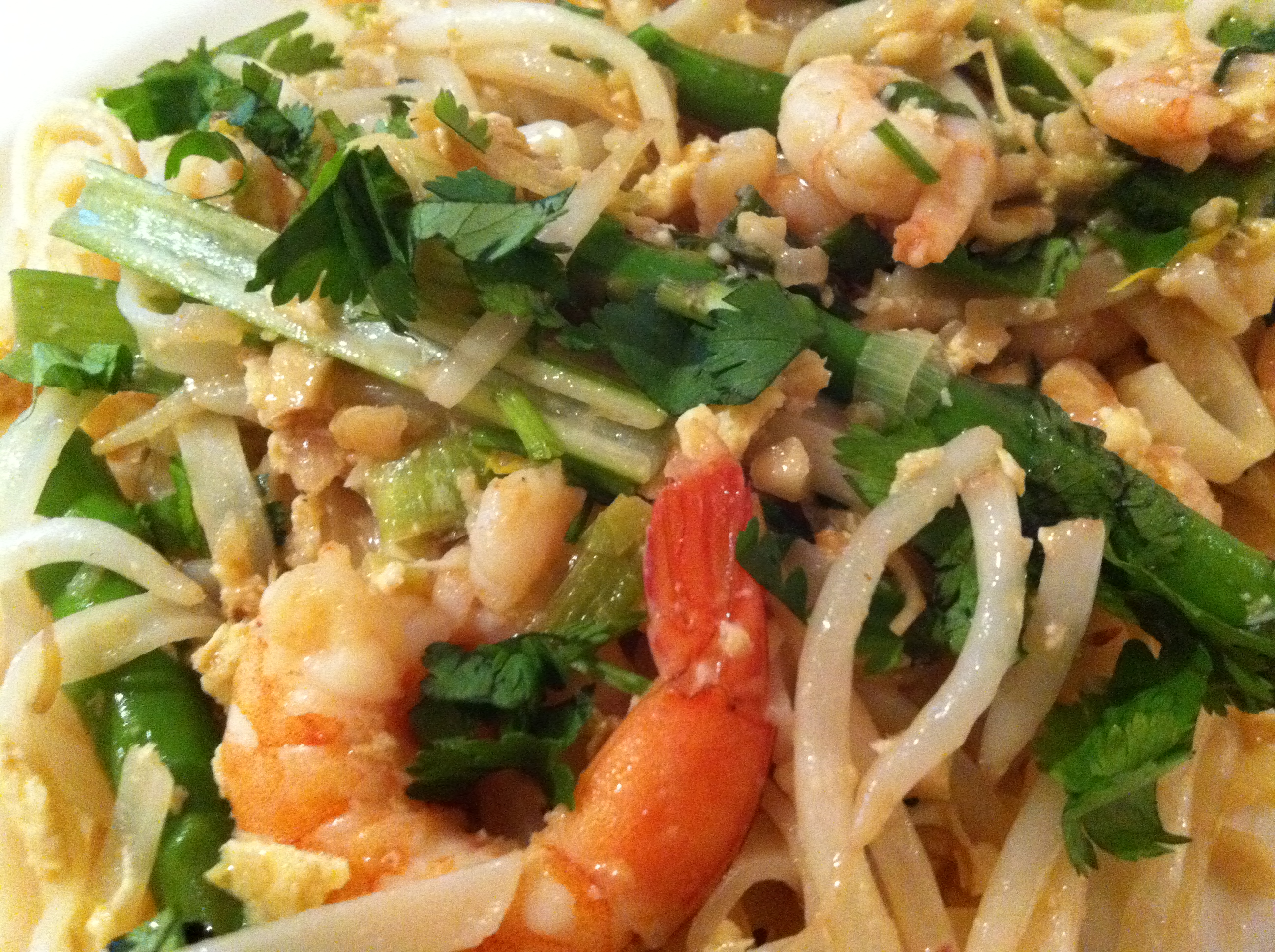 pad_thai_for_beginners