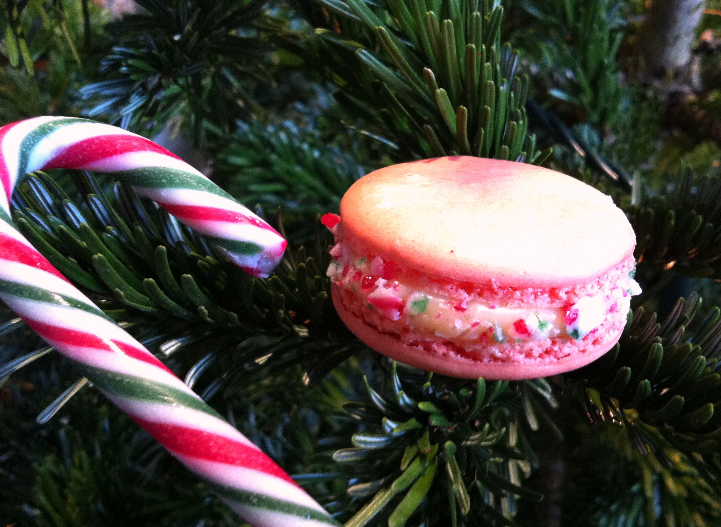 candy_cane_macarons