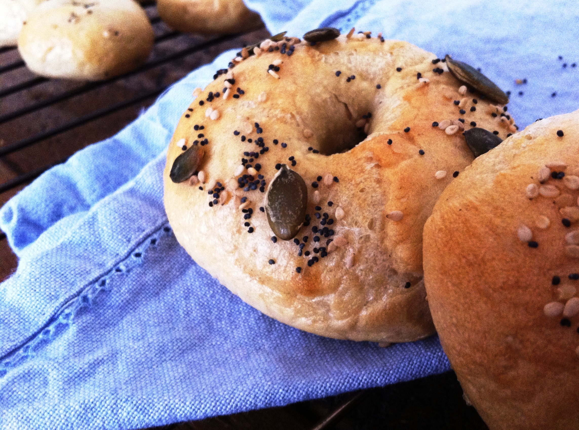 pumpkin_sesame_seed_bagels