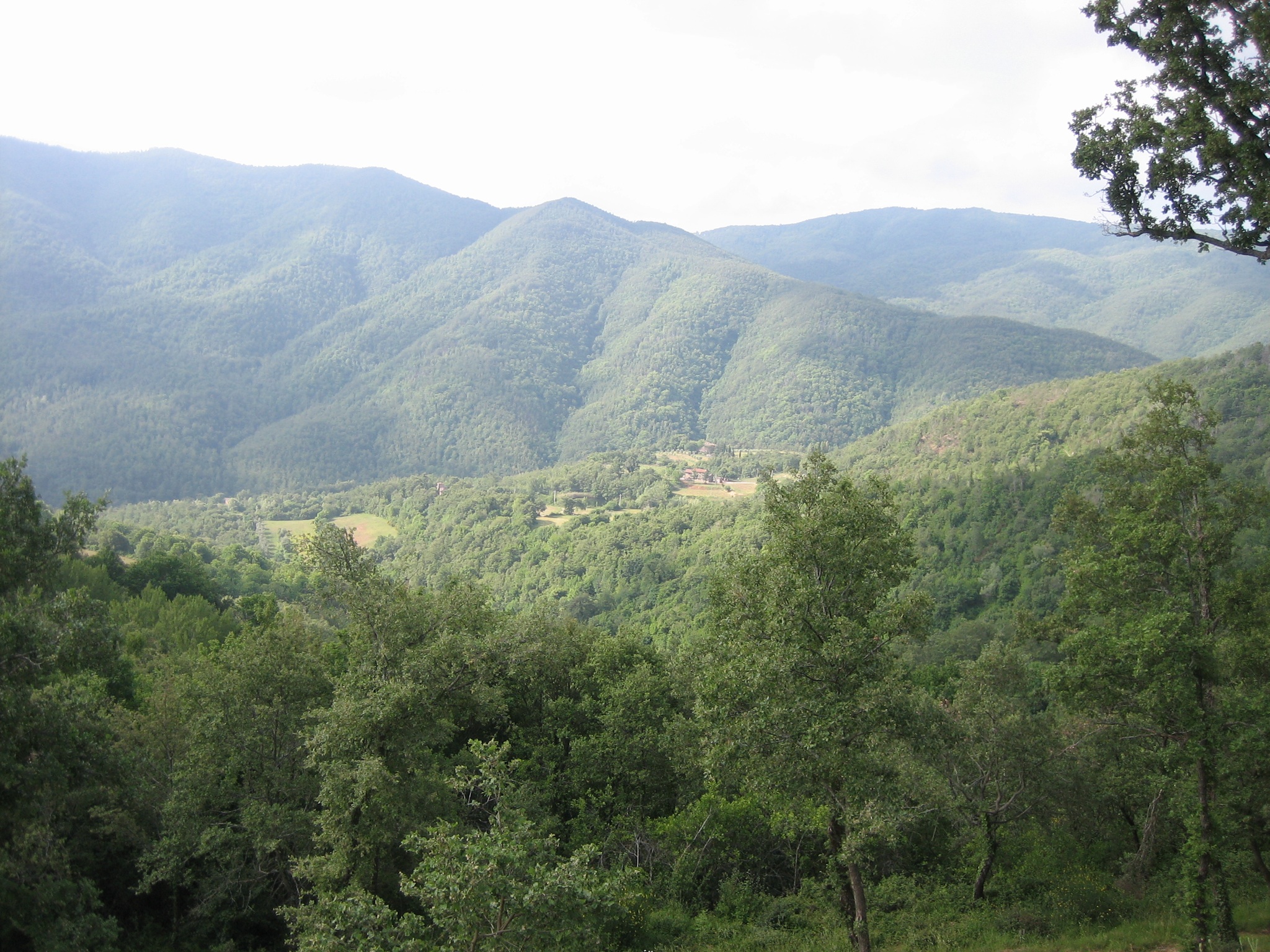 tuscan hillside