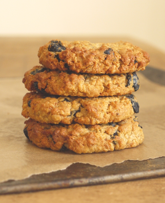 Blueberry ice cream sandwiches 