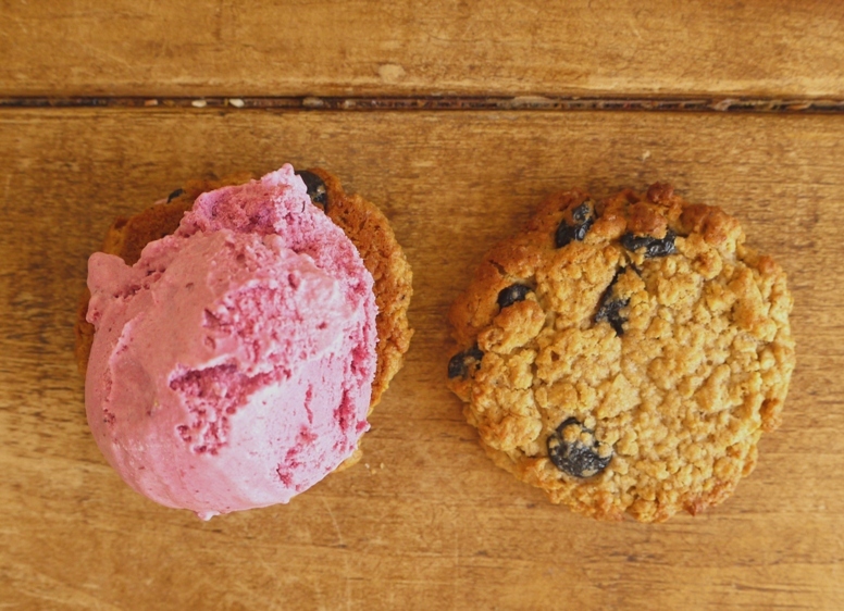 Blueberry ice cream sandwiches 