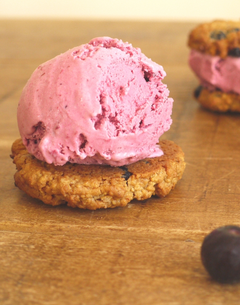 Blueberry ice cream sandwiches 