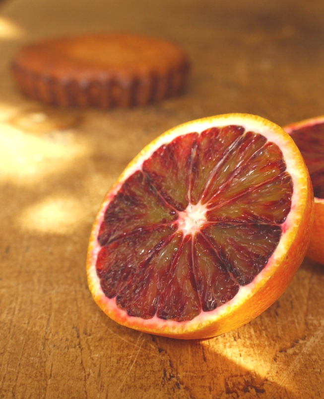 Coconut Almond Cakes with Blood Orange Granita 