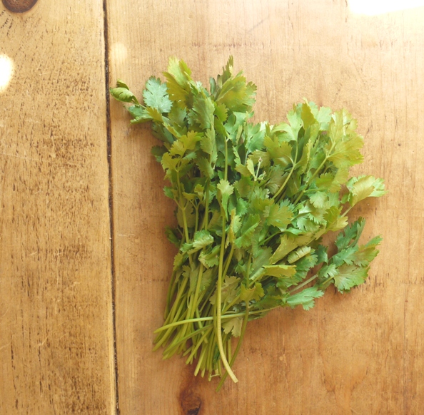 Wholemeal Spelt & Coriander Flatbreads