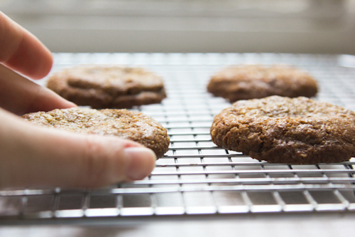 Triple Coconut Chocolate Chip Cookies