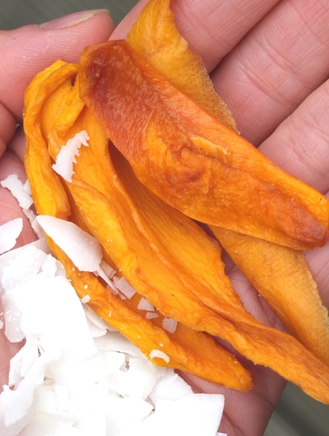 Mango Coconut Bars