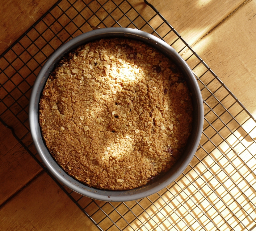 Fig Crumble Cake