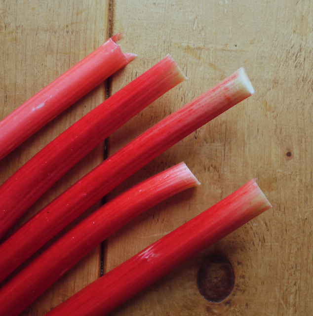 Rhubarb Bakewell Tart