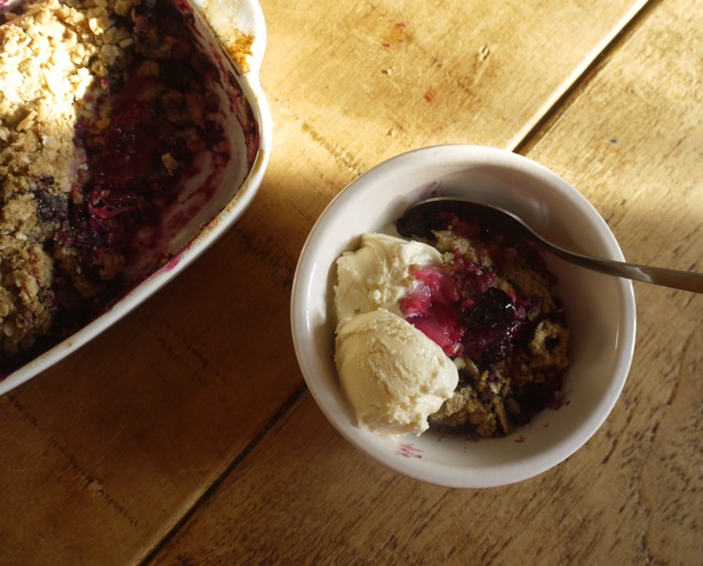 Rhubarb blueberry crumble with ice cream