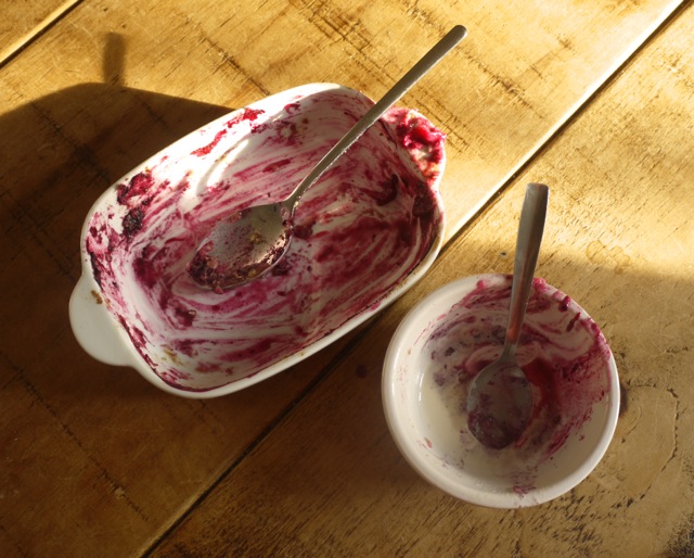 Rhubarb blueberry crumble - empty bowls
