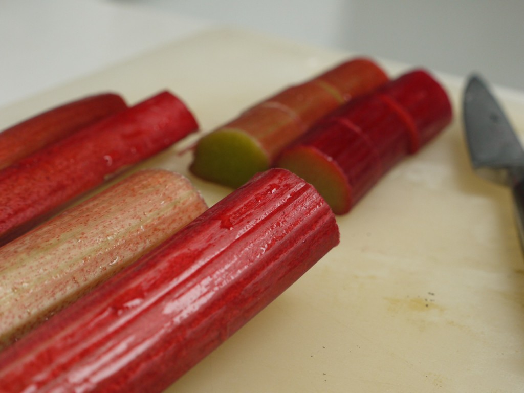 Rhubarb 