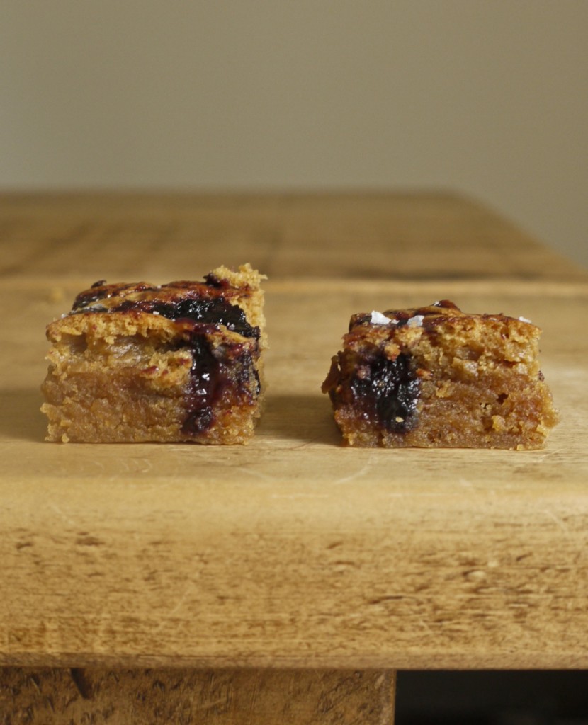 Peanut Butter & Blueberry Blondies