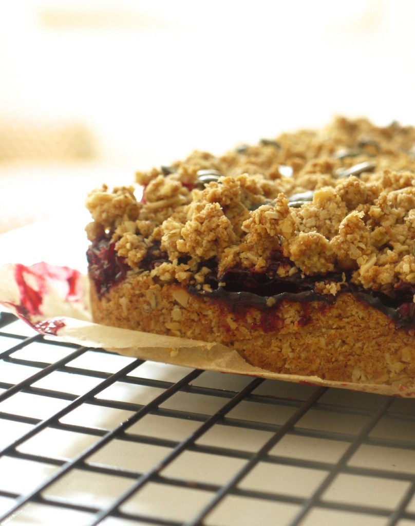 Blackberry Apple Crumble Bars