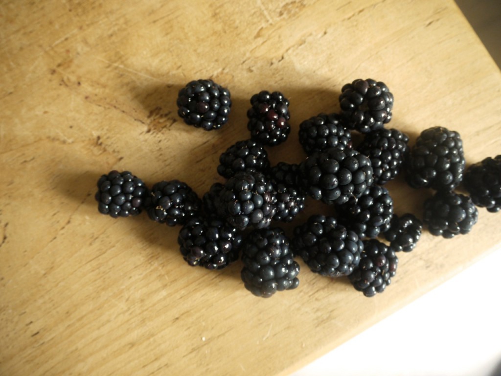 Blackberries