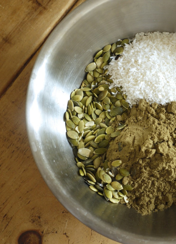 Pumpkin seeds, coconut & hemp protein powder