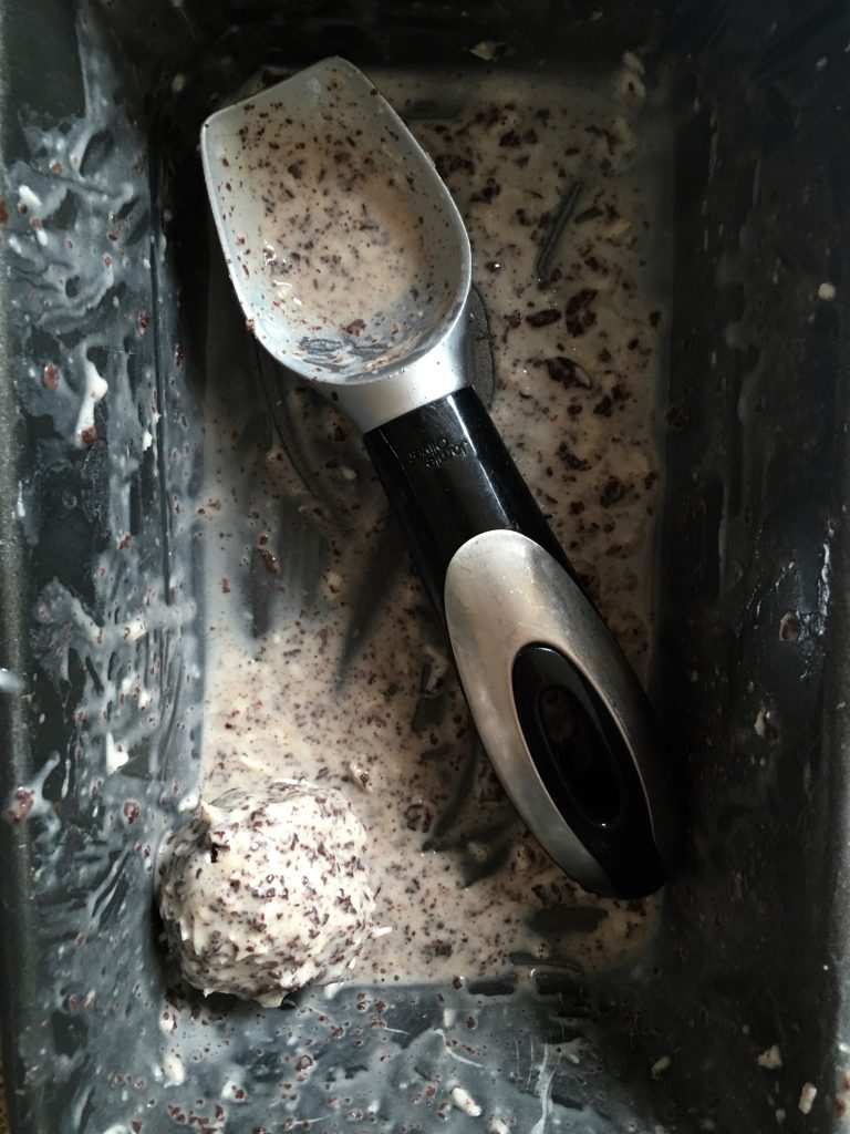 Coconut Stracciatella Ice Cream Scoop