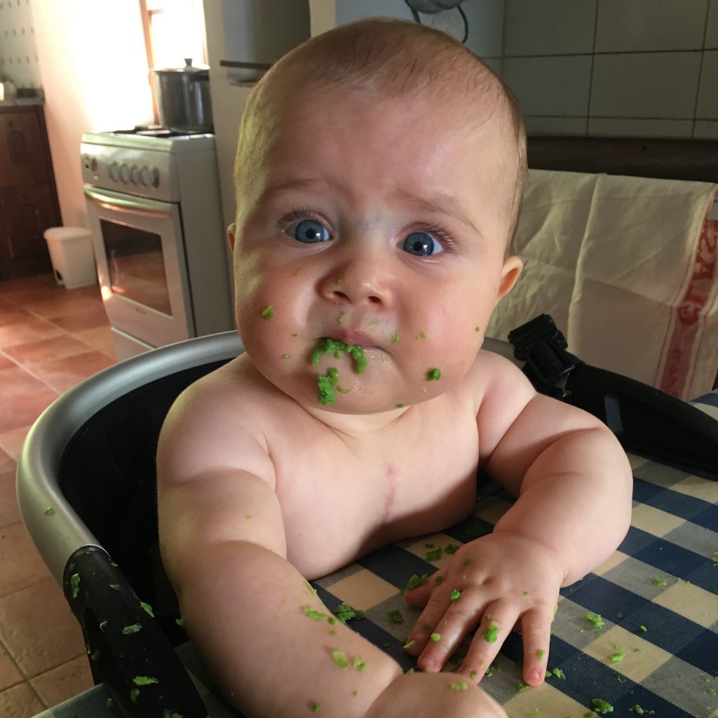 Baby weaning - 1 (1)