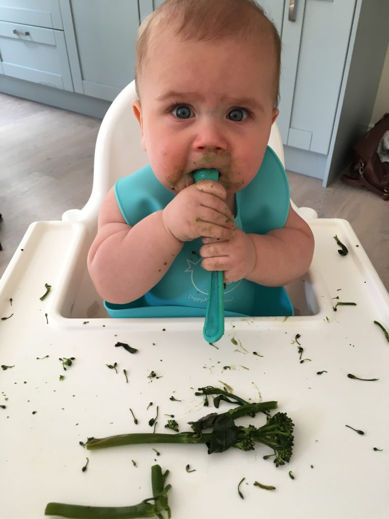 Baby weaning - 5