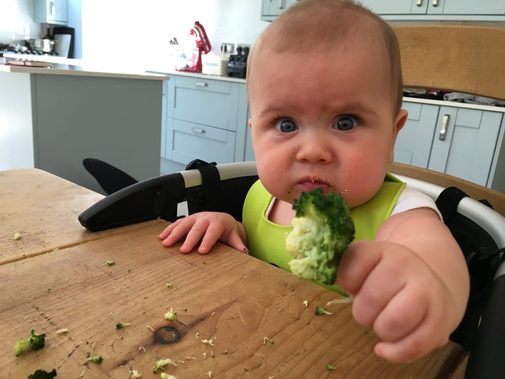 Getting Started on Solid Food: Baby Led Weaning & Spoon Feeding Nino -  thelittleloaf