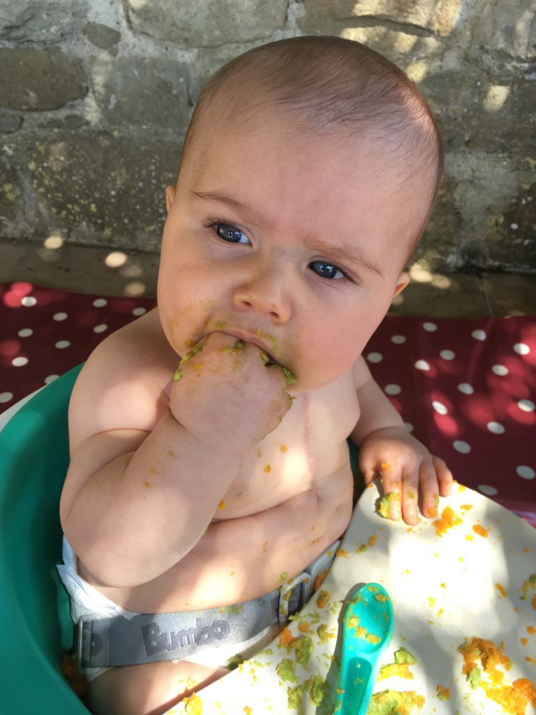 Baby Led Weaning Meal Ideas for the 1st Year - New Darlings